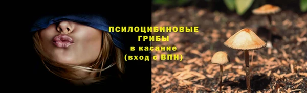 а пвп мука Алзамай
