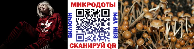 Псилоцибиновые грибы Psilocybine cubensis  shop как зайти  Ярцево 